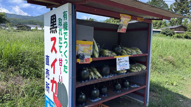 その他の 暑さ対策