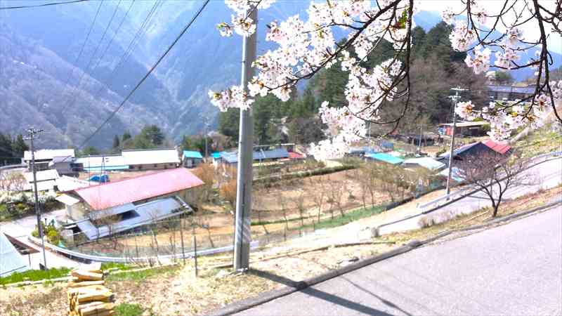 バイクで桜の花見なら、有名スポットを避けて