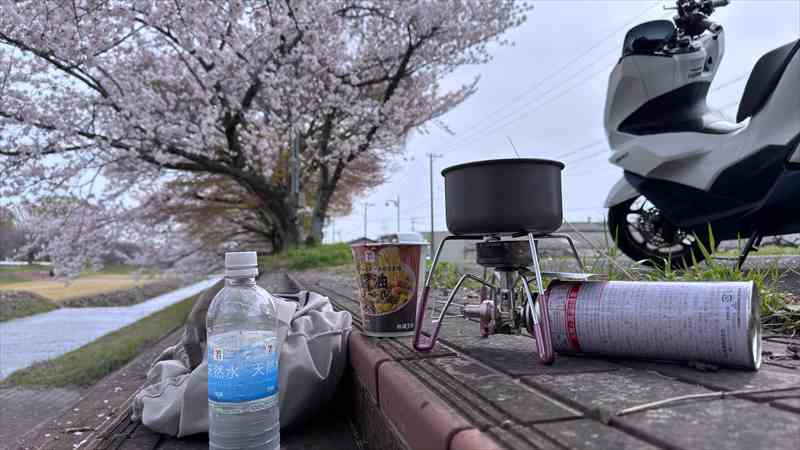 桜の下で食事