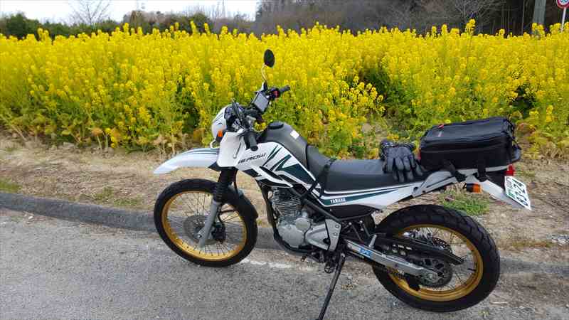 春夏バイクグローブの選び方 まとめ