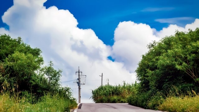 夏の雨用グローブ