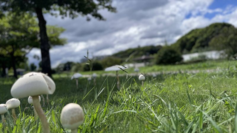 30km/hほどのゆっくり走行