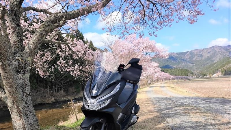 PCX150 (KF30) 1年後のインプレ