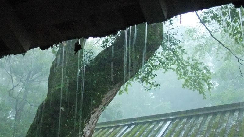 週末ツーリングのみで、雨の日は出かけない人