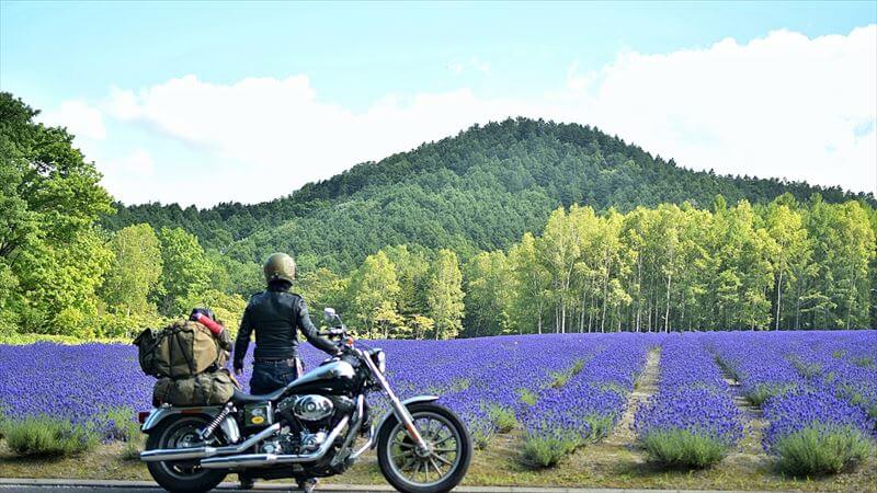 クーラーボックスのメーカーで選ぶ