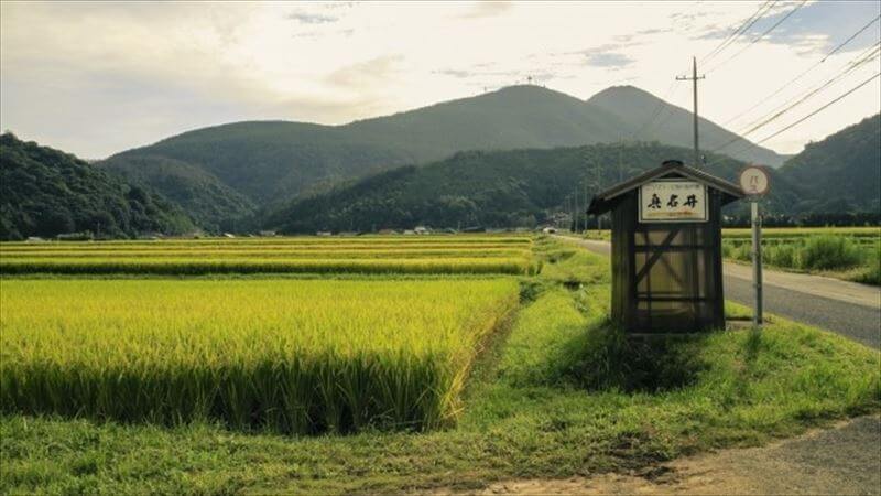 大型バイクとの比較