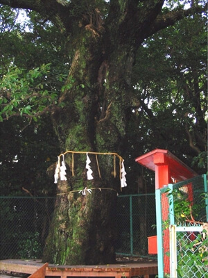 城山八幡宮２