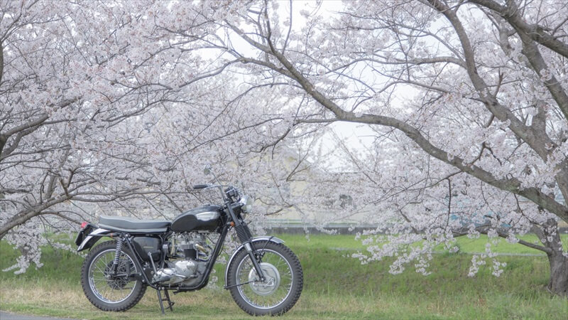 大学バイクデビュー