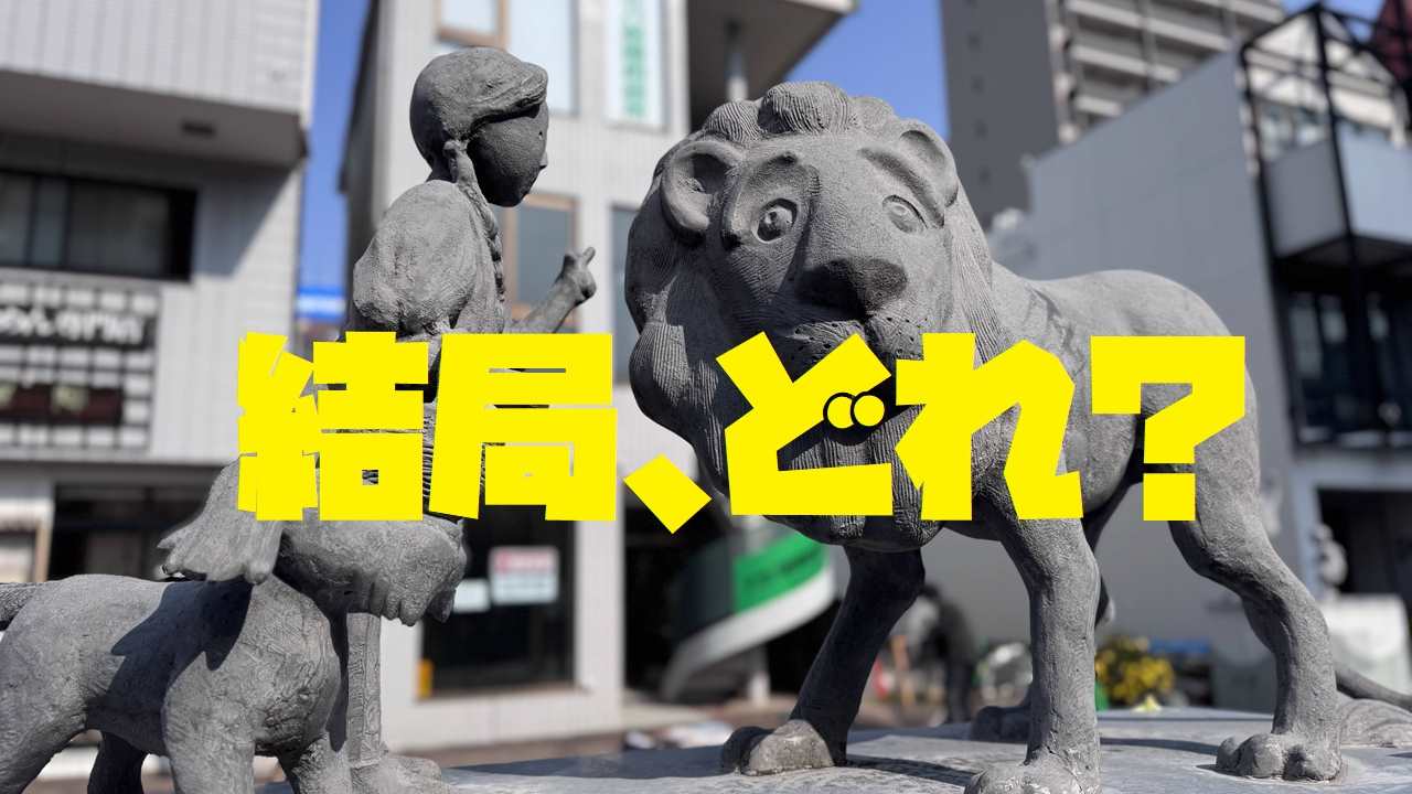 結局、どれ？