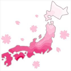 桜前線