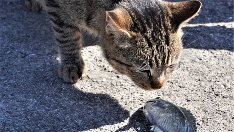 破壊出来ないカギ 