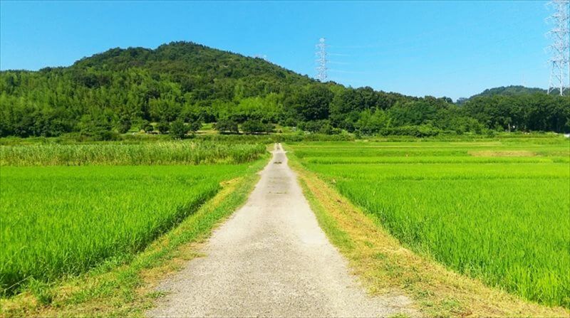 なぜ、虫が付くのか、避ける方法は有るのか？