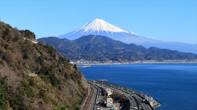 日本での人気