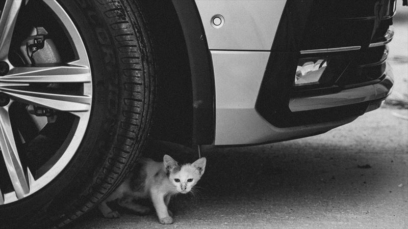 対策は、並走車・先行車を盾にする