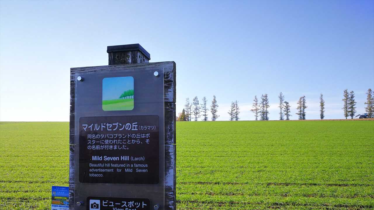 走ってみたい道