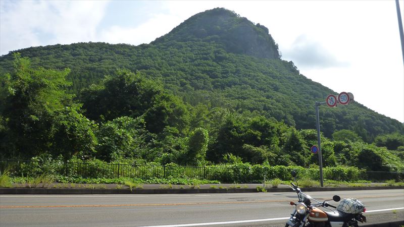 国道48号線、トンネルを抜けると花の香りがした