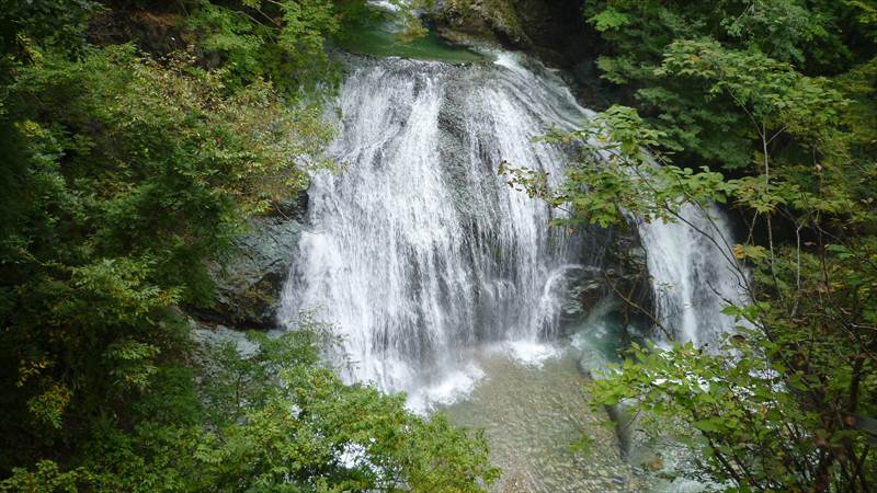 国道48号線、関山トンネル