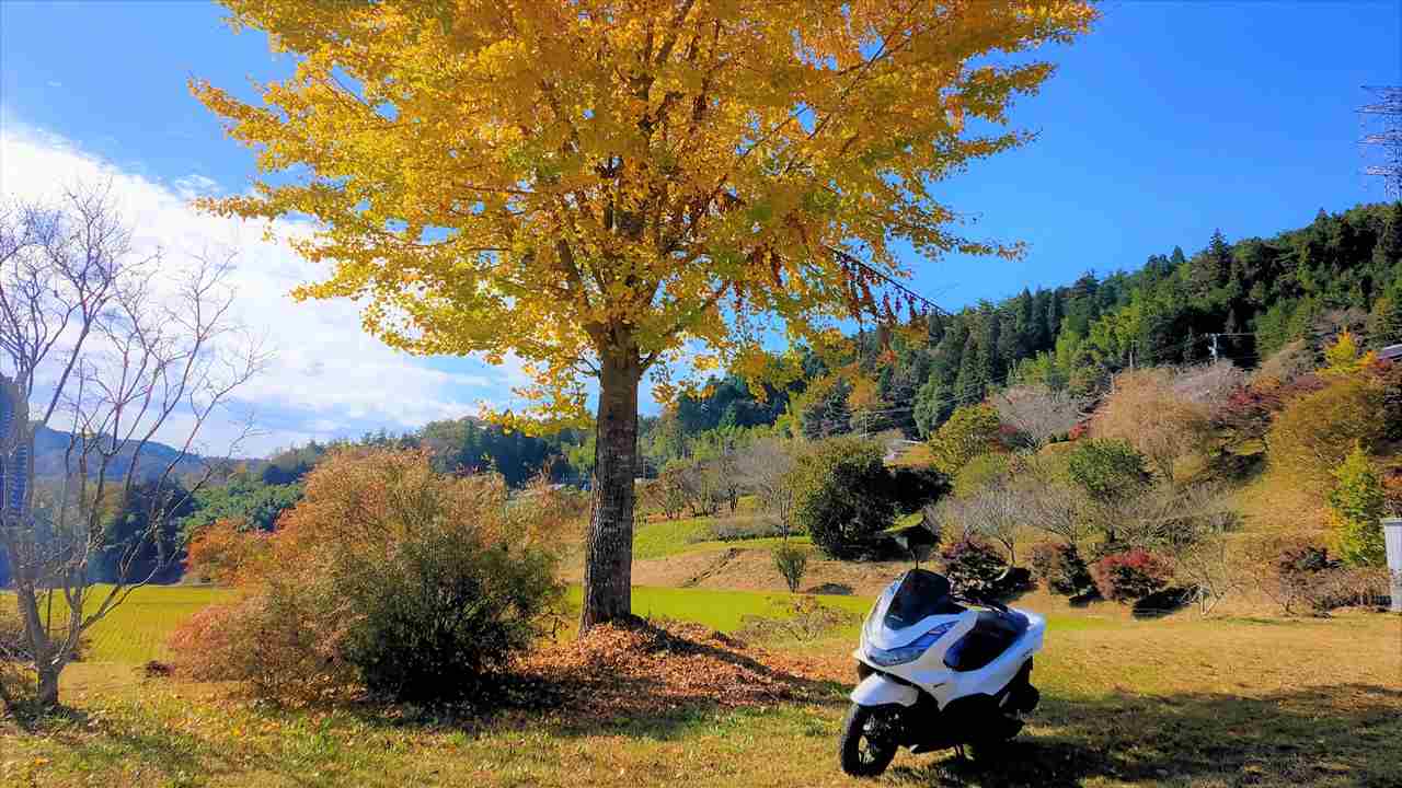 還暦からのバイク選び