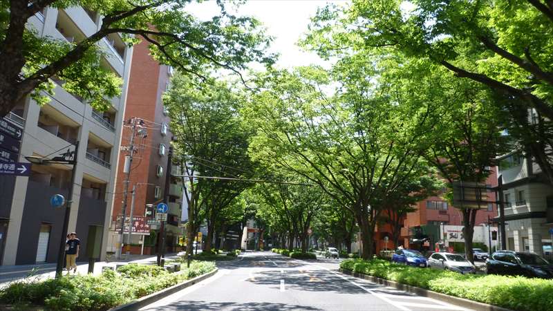 遠くの駐車場にも・慣れない自分にも・夏の猛暑にも負けず