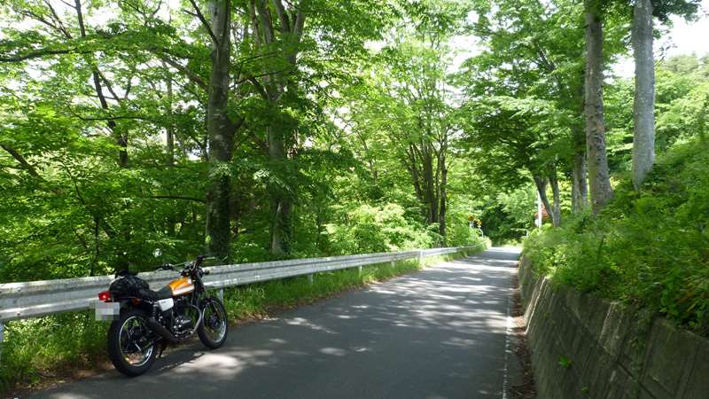 第2のバイクライフが始まった