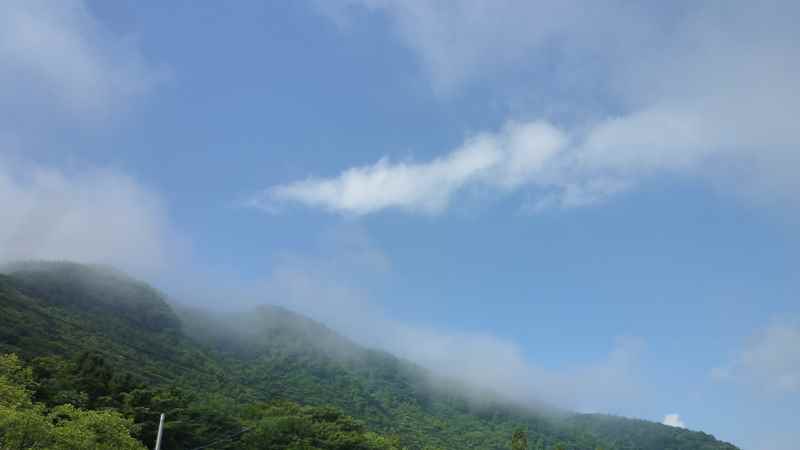 自由にゆったりと、景色に溶け込んで走る