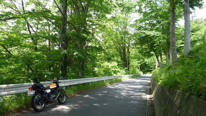 のどかな県道には、酷道が多い
