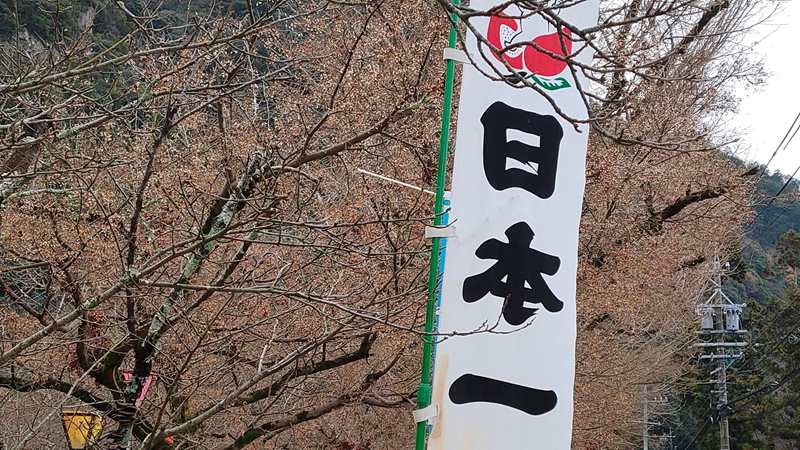 日本のガソリン価格は世界的に見て高いのか?