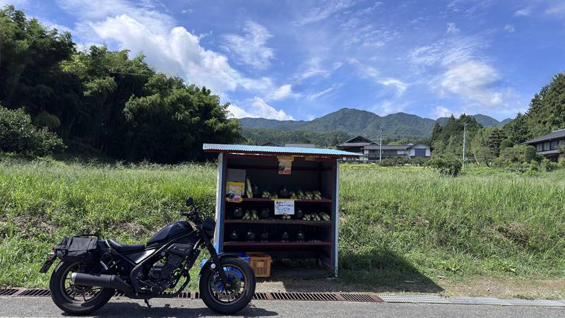 ゆったり走るバイクに合う