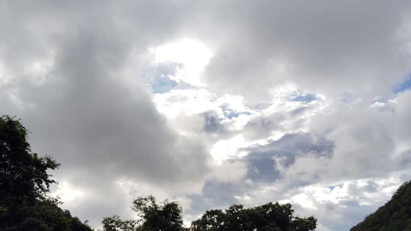 雨もそんなに悪くない