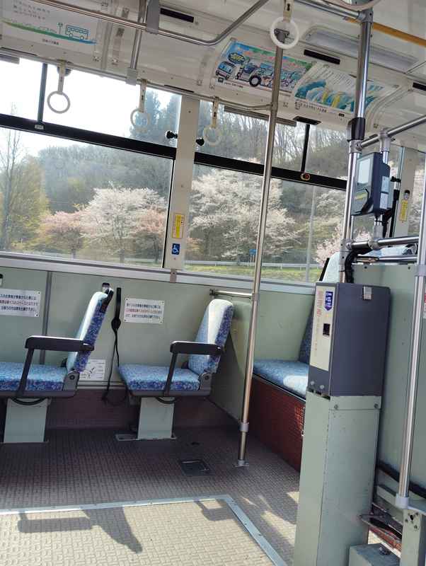 骨折とバイク先生と回遊魚と