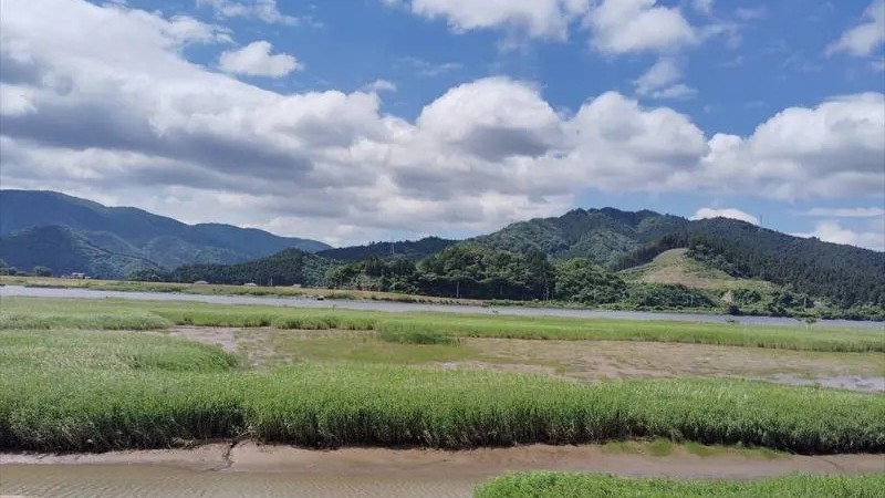 北上川沿い