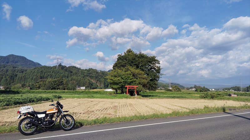 どこへ向かおうか