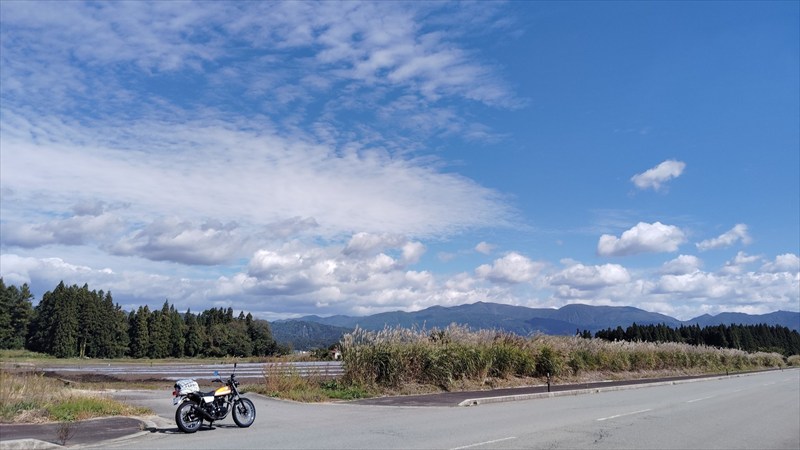 走りたくてたまらない