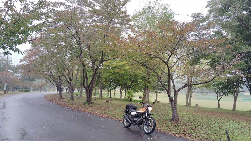 思いのままに進む