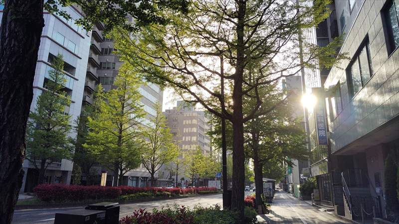 写真を撮るということ　オリンパスOM−１と共に