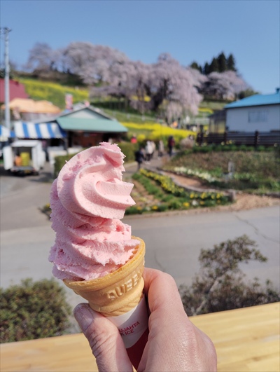 撮らずにいられない