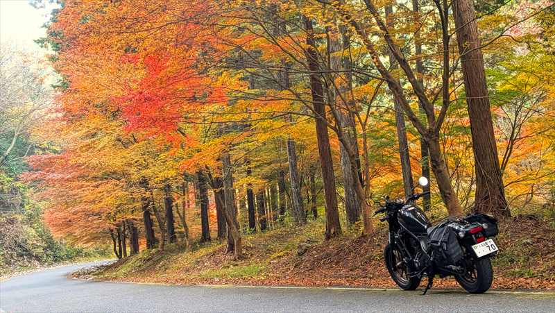 ダムへ向かう道が「ちょうどいい」