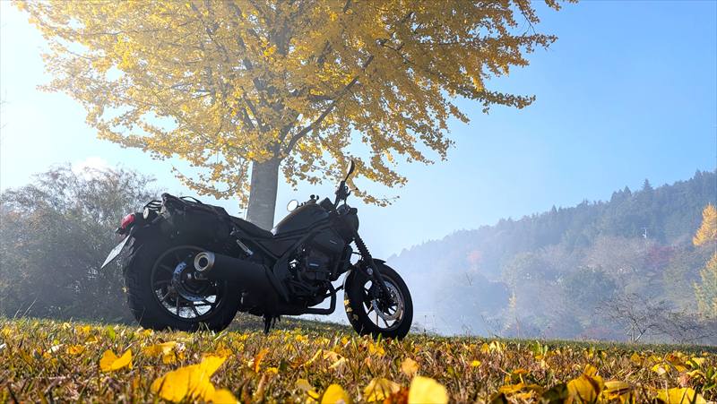 カスタムされたレブル250の中古を買っても大丈夫？