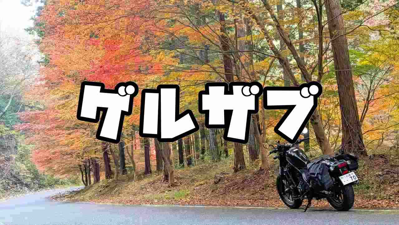 ゲルザブのすすめ