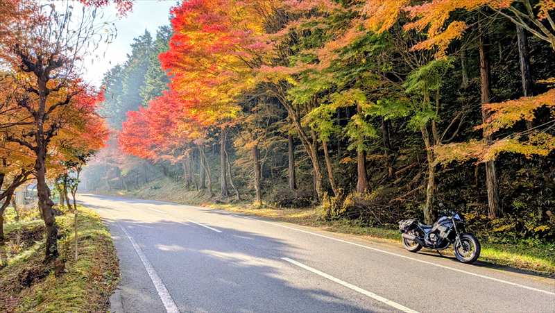 ゲルザブのメリット・デメリット【長距離がラクになるって本当？】