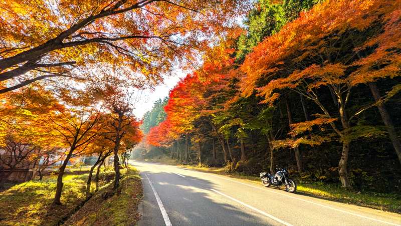 バイクは生もの、1日でも新しい方が価値がある