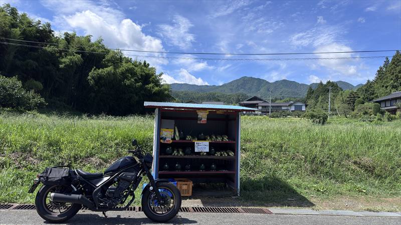 カスタムされた中古レブル250は買っても大丈夫？　まとめ