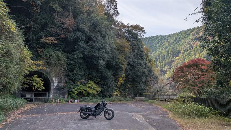 ゲルザブのメリット・デメリット　まとめ