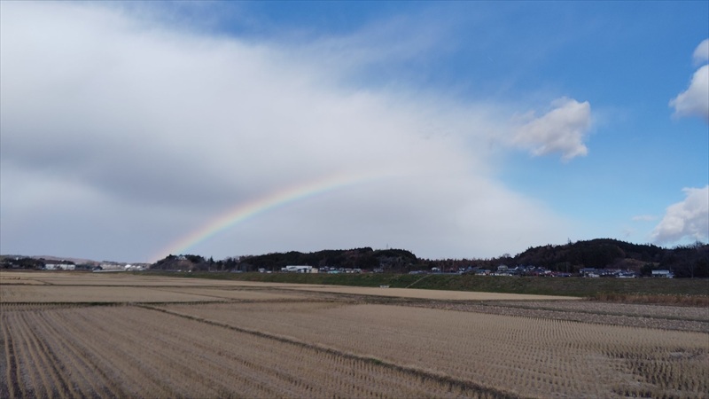 仙台の冬は、晴れる日が多い