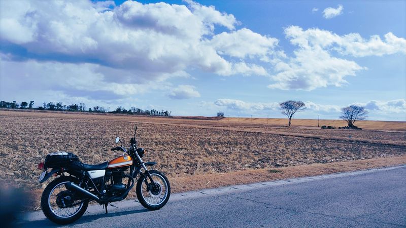 もうちょっと・・好奇心と情熱と少しのお金がある限り