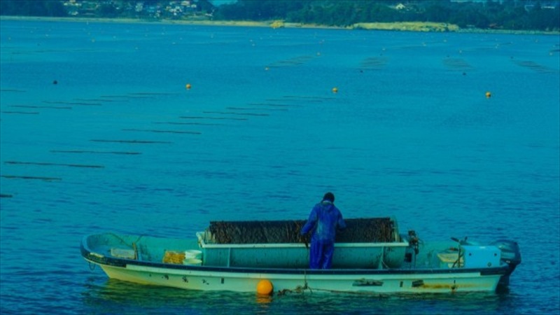 カイトとナギの時