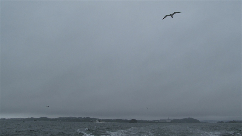 テラさんはガンマと共に遠くへ行った