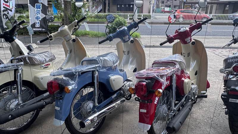 青いスーパーカブとの出会い