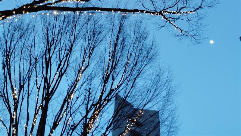 丘の上のもう一人のマコとミコ