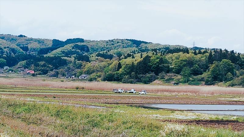 湧き水は森を潤し、田んぼを満たし海を育む